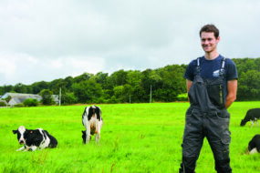 Étienne Le Roux avec ses vaches