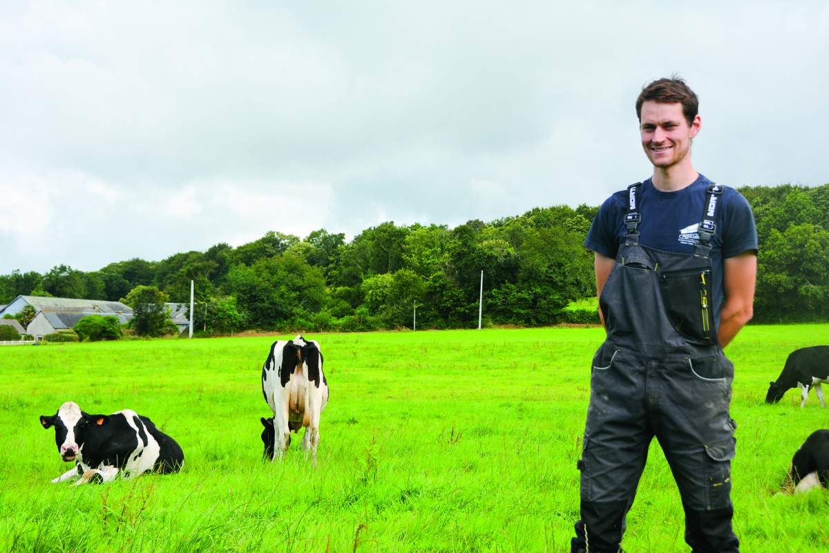 Étienne Le Roux avec ses vaches - Illustration Il trouve la ferme qu’il cherchait