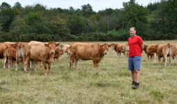 L'éleveur avec ses bovins dans une parcelle d'herbe