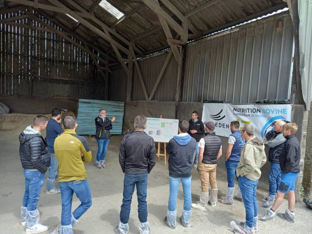 Un groupe d'agriculteurs lors d'une réunion sur les génisses