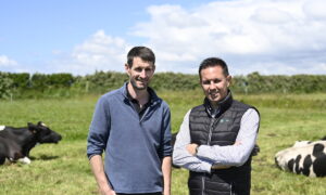 2 personnes dans une prairie avec des vaches