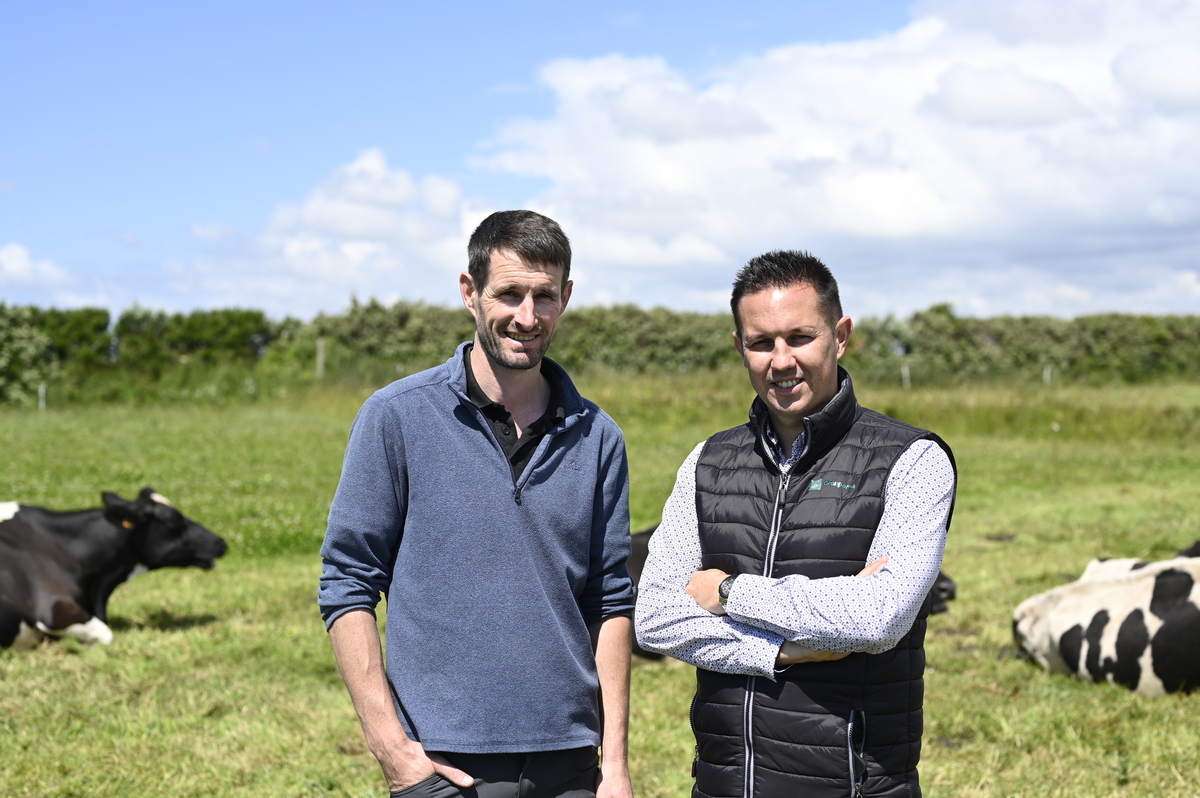 2 personnes dans une prairie avec des vaches - Illustration Groupama accompagne ses sociétaires jusqu’au bout du monde