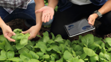 agriculteur et conseiller avec une tablette dans une parcelle de légume