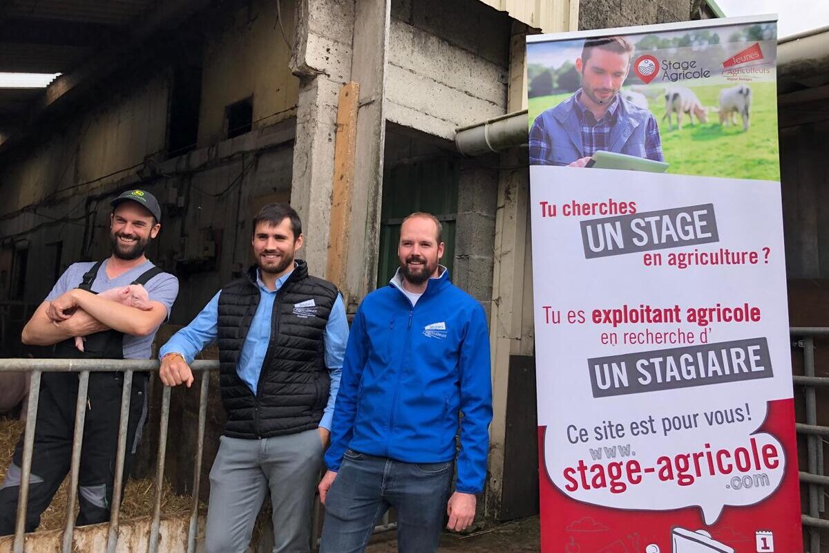 Jeunes agriculteurs du Finistère - Illustration Un guide pour aiguiller  les maîtres de stage