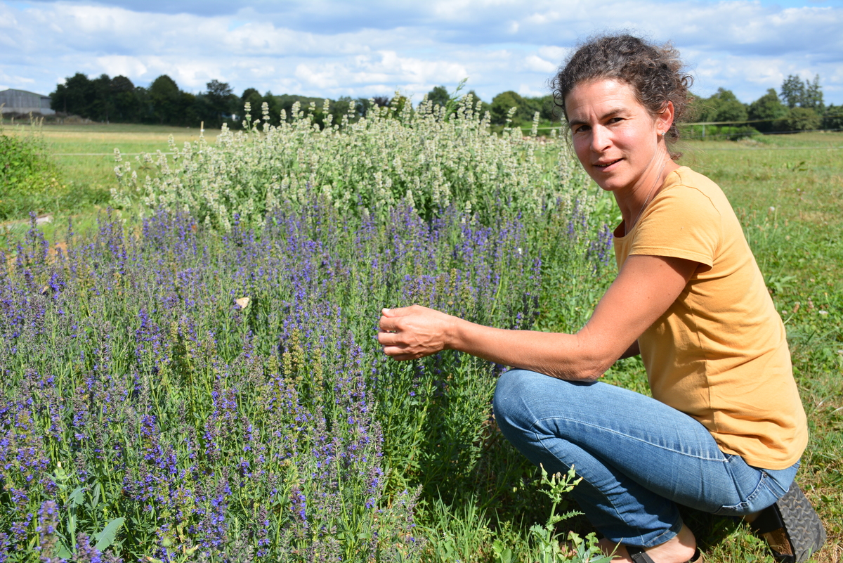 Une femmes dans des plantes aromatiques