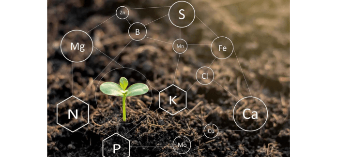 Sols-et-elements-nutritifs - Illustration Nouveau rapport d’analyse de sol