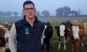 Franck, éleveur au Haut-Corlay 22 devant des vaches dans un champ