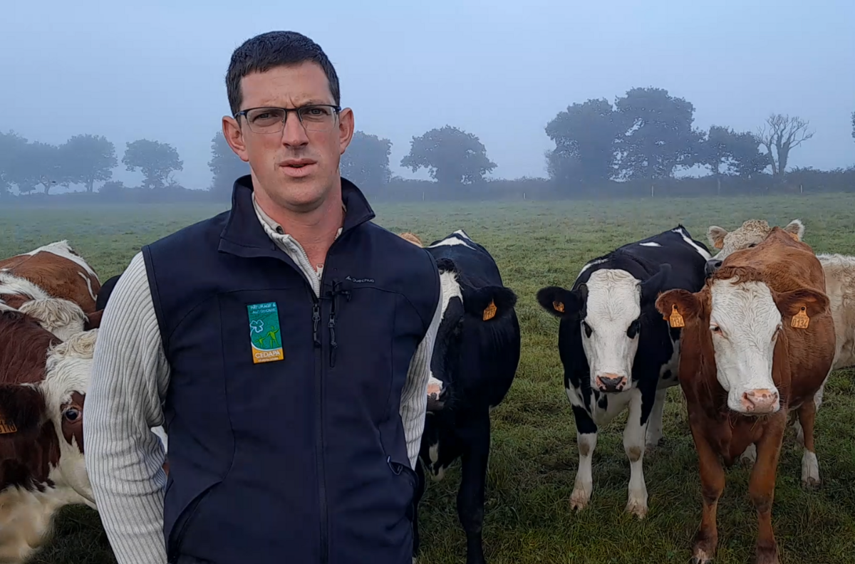 Franck, éleveur au Haut-Corlay 22 devant des vaches dans un champ - Illustration 42 kg MS/ha/jour