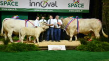 Les Champions Charolais avec leurs éleveurs sur le podium au Space