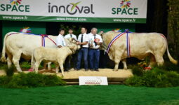 Les Champions Charolais avec leurs éleveurs sur le podium au Space