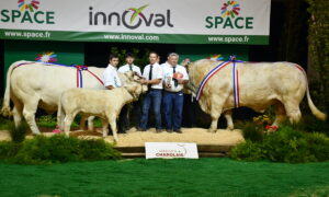 Les Champions Charolais avec leurs éleveurs sur le podium au Space