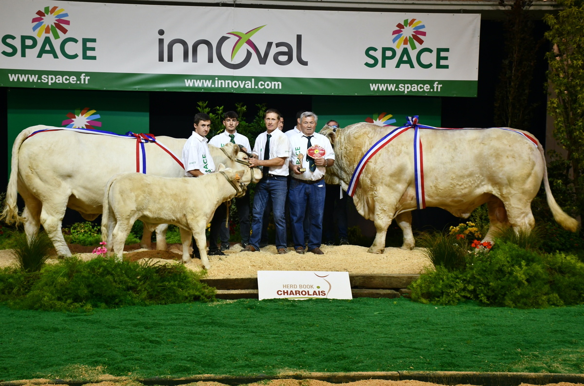 Les Champions Charolais avec leurs éleveurs sur le podium au Space - Illustration Marly se démarque sur le ring