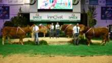 Les 4 Champions limousins au concours du Space