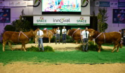 Les 4 Champions limousins au concours du Space