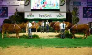 Les 4 Champions limousins au concours du Space