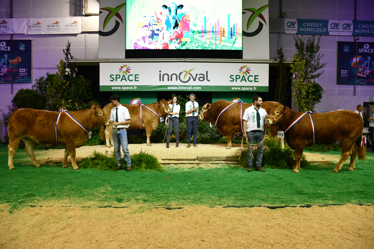 Les 4 Champions limousins au concours du Space - Illustration Médaille d’or pour Tulipe