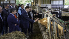 Loïg Chesnais-Girard, président de Région Bretagne, dans un élevage de bovins