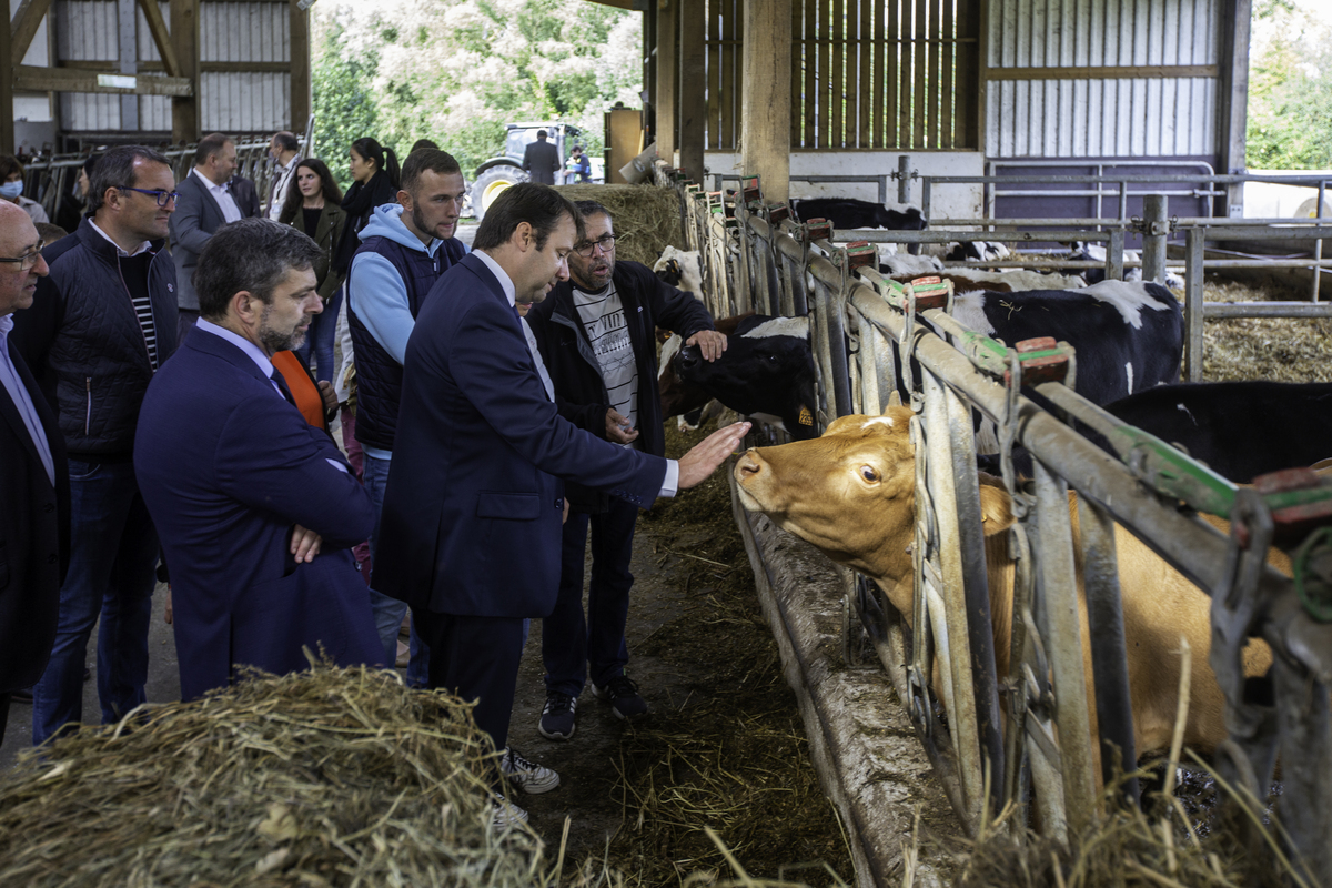 Loïg Chesnais-Girard, président de Région Bretagne, dans un élevage de bovins - Illustration La parole au président de la Région Bretagne : « La ligne de force, c’est la diversité des systèmes agricoles »