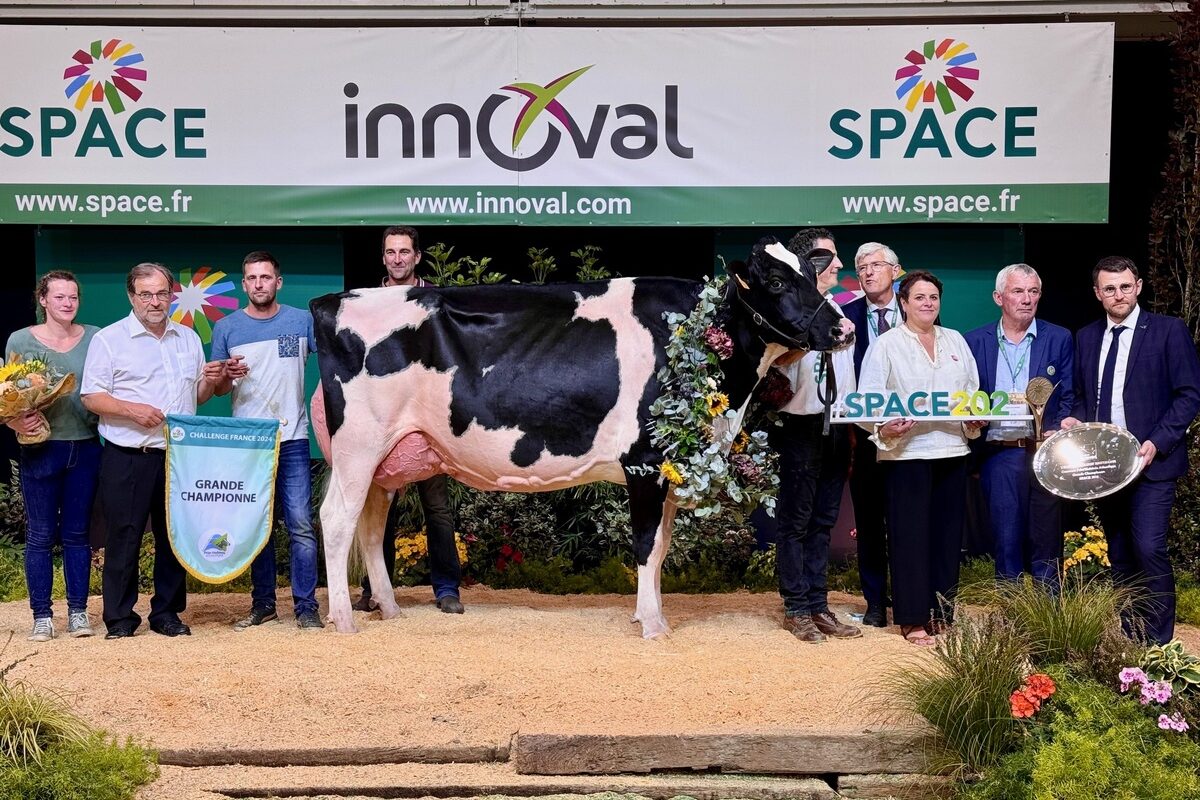 Des éleveurs et des responsables sur le podium du Space 2024 autour de la vache qui a remporté le concours de a raceHolstein - Illustration Coup double au sommet pour Pom Holstein