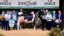 Des éleveurs et des responsables sur le podium du Space 2024 autour de la vache qui a remporté le concours de a raceHolstein