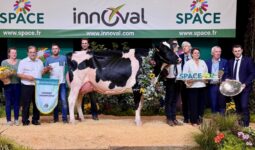 Des éleveurs et des responsables sur le podium du Space 2024 autour de la vache qui a remporté le concours de a raceHolstein