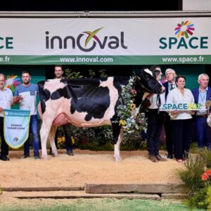 Des éleveurs et des responsables sur le podium du Space 2024 autour de la vache qui a remporté le concours de a raceHolstein