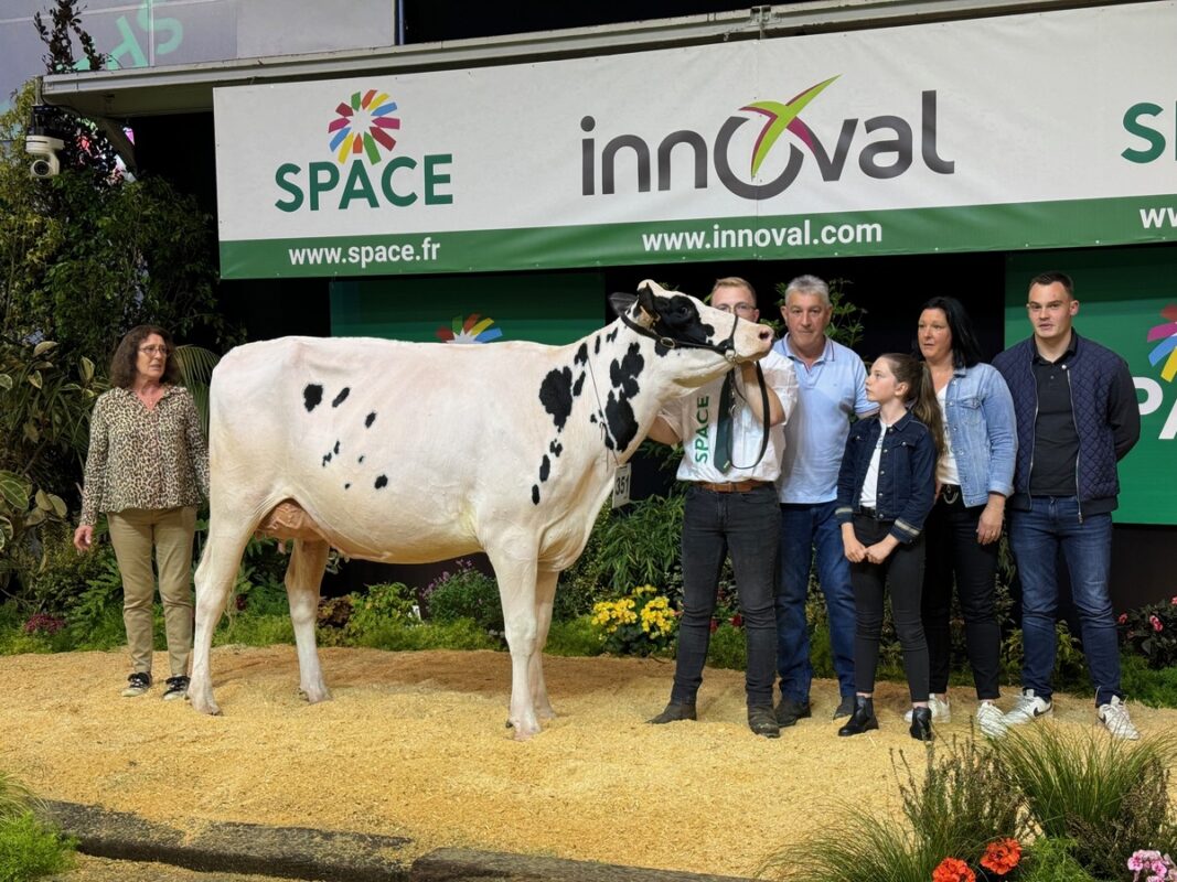 Une famille d'éleveur autour d'une vache Holstein sur le podium du salon Space 2024.