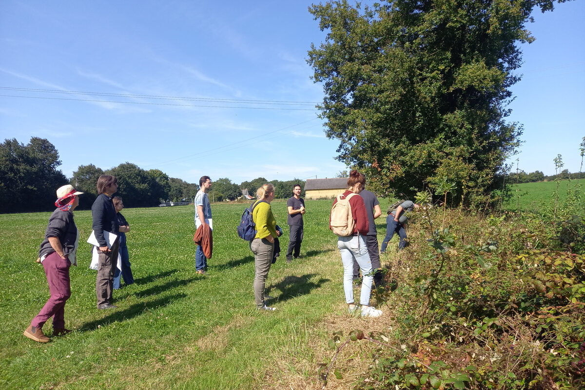 Les participants devant une haie. - Illustration Eaux & Vilaine mobilise autour du bocage