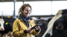 portrait d'une femme à côté de vaches laitières