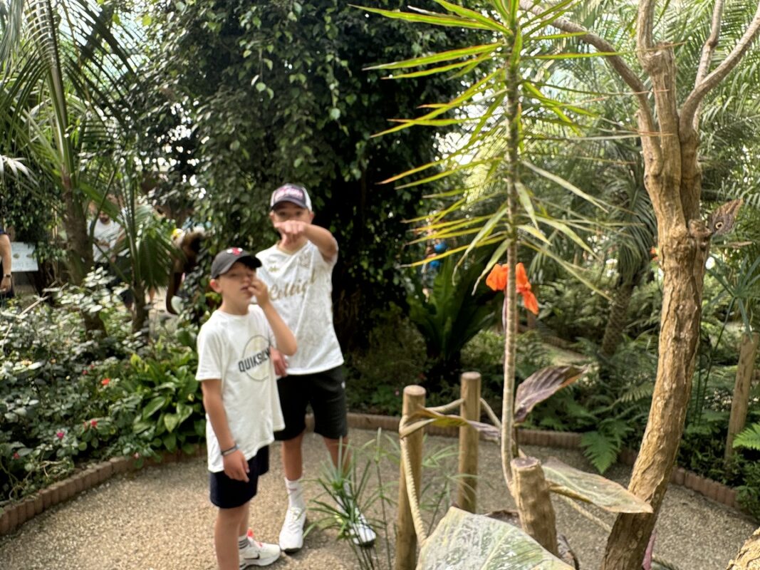 Deux enfants dans une serre de papillons tropicaux