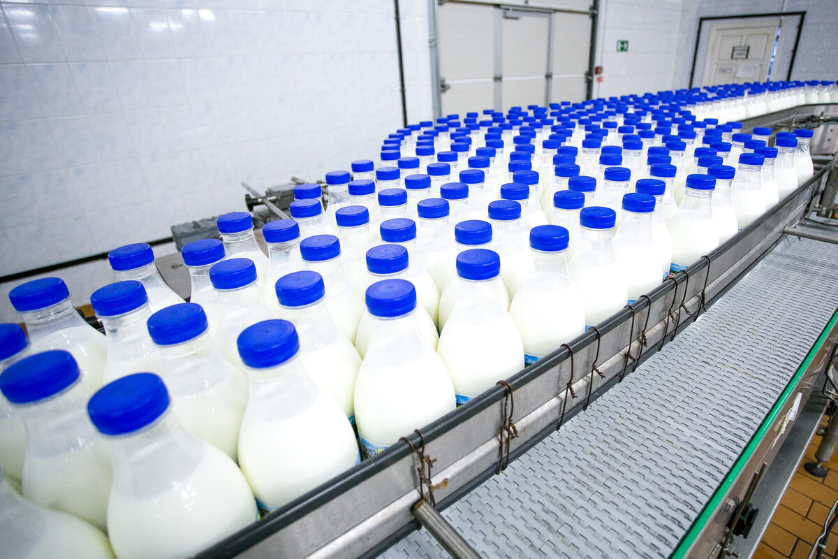 embouteillage de lait dans une usine - Illustration Lactalis réduira sa collecte de lait : Une onde de choc  pour les producteurs