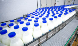 embouteillage de lait dans une usine