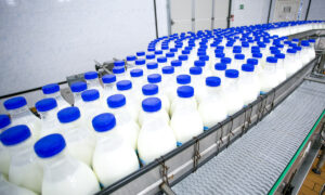 embouteillage de lait dans une usine