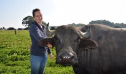 Suzanna Lemoine, agricultrice et productrice de mozzarella, aux côtés de l'une de ses bufflonnes dans un champ