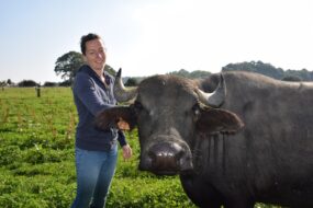 Suzanna Lemoine, agricultrice et productrice de mozzarella, aux côtés de l'une de ses bufflonnes dans un champ