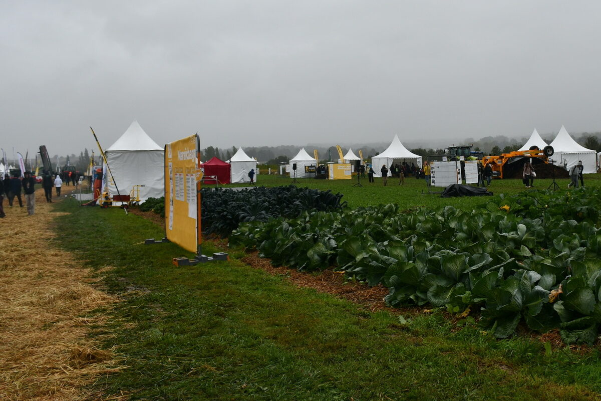 Vue sur le salon bio à Retiers, en extérieur - Illustration Plus de 8 000 visiteurs au salon bio