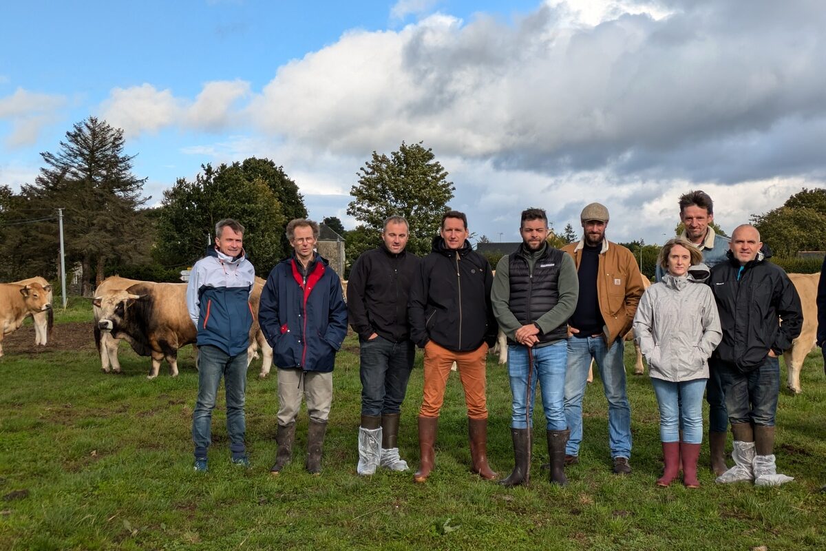 Les éleveurs sur une parcelle avec des Aubracs dans le fond - Illustration L’association Aubrac veut s’élargir