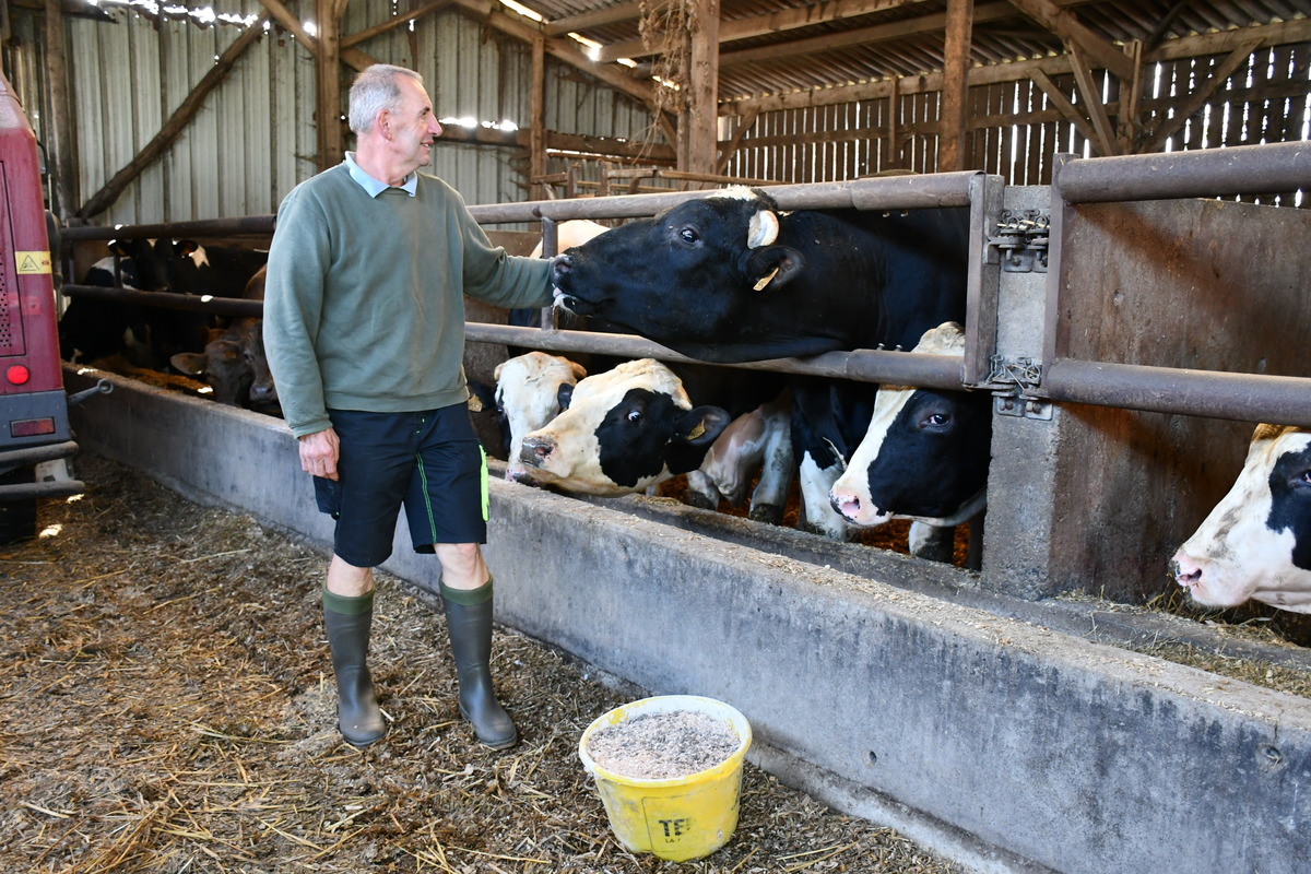 Thierry Braud avec ses taurillons dans un bâtiment