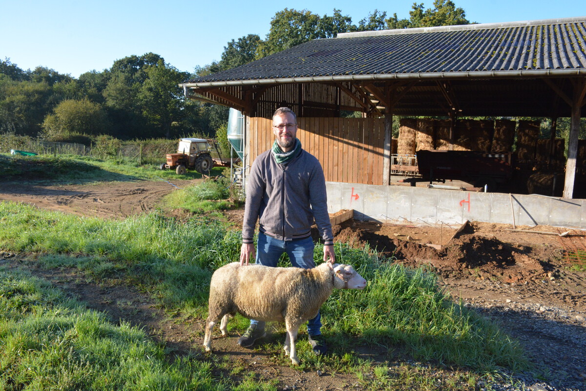 Mathieu Besnier avec bélier de race charmoise.