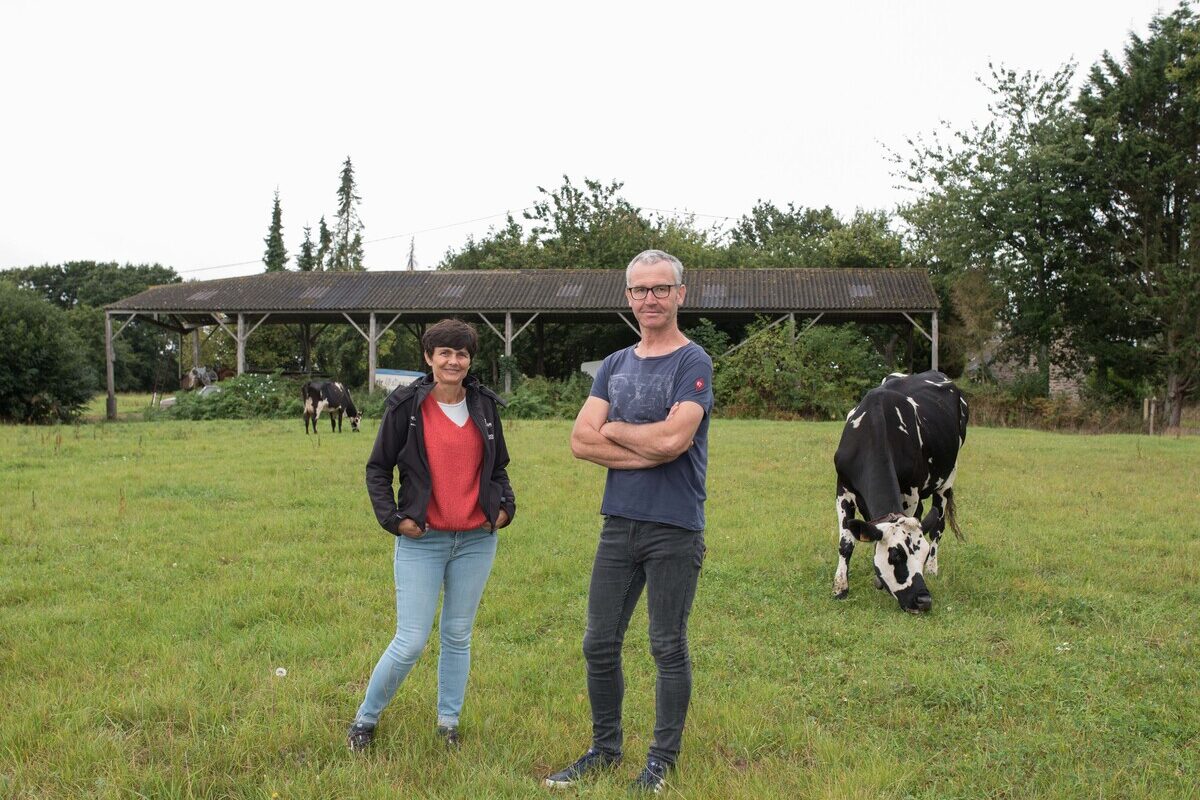 éleveurs dans une prairie - Illustration L’herbe fraîche fait venir au robot