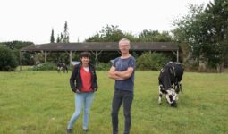 éleveurs dans une prairie