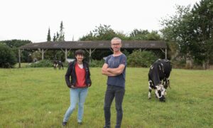 éleveurs dans une prairie