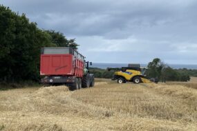 Une moissonneuse et un tracteur avec sa remorque dans un champ