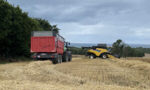 Une moissonneuse et un tracteur avec sa remorque dans un champ