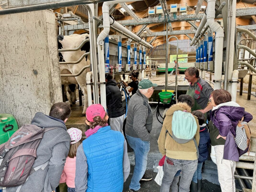 Des gens regardent la fin de la traite d'un lot de vaches laitières. 