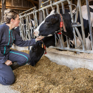 Une jeune femme dans une stabulation caresse une vache