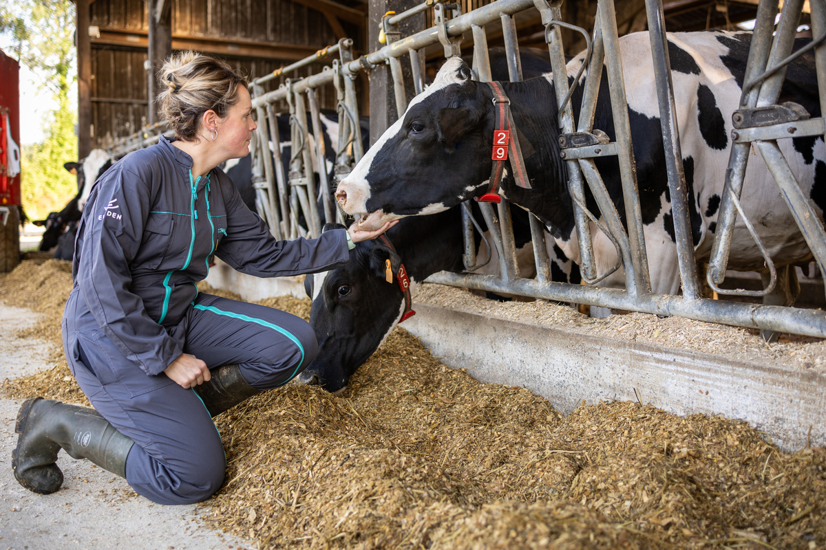 Une jeune femme dans une stabulation caresse une vache - Illustration Ce qui compte  pour devenir agriculteur