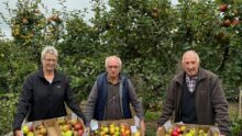 Une femme et deux hommes présentent des cartons remplis de pommes dans un verger.