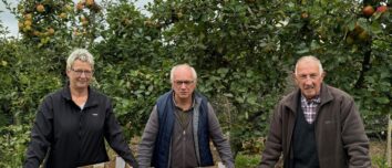 Une femme et deux hommes présentent des cartons remplis de pommes dans un verger.