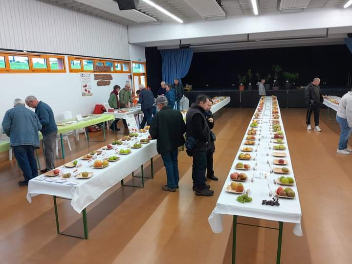 Des personnes dans une exposition dédiée aux fruits.